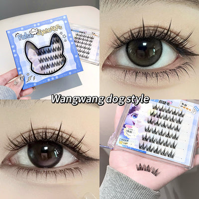 01 - Wangwang Dog