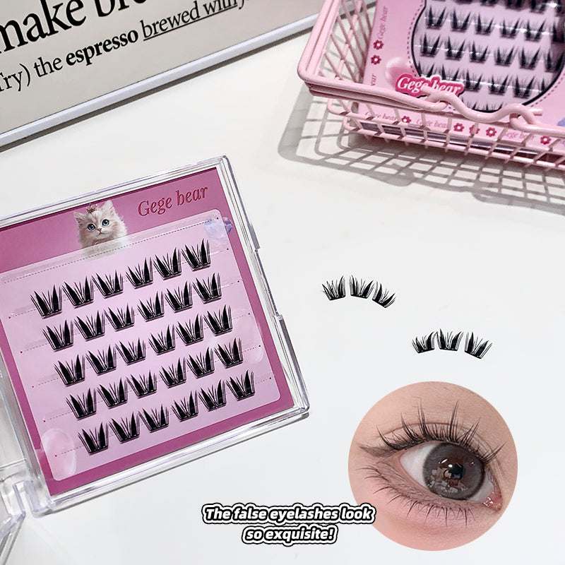 False eyelashes in a pink case with an inset of an eye wearing the lashes.