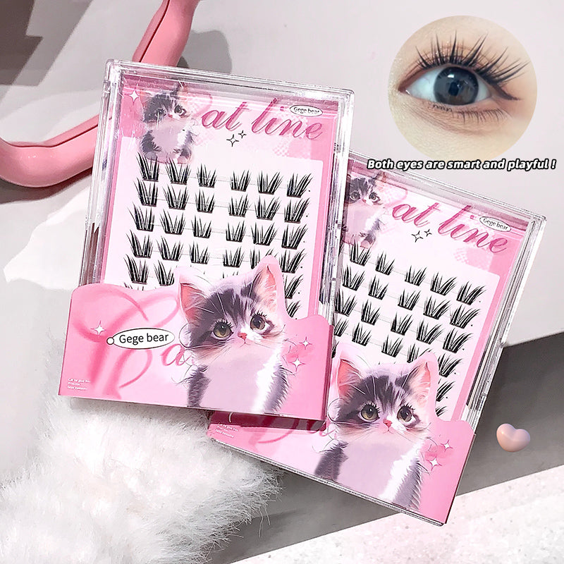 False eyelashes packaging with a cute cat design on a light background