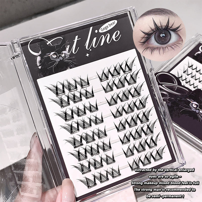 Eyelash extension tray with false eyelashes and an eye illustration on a clear background