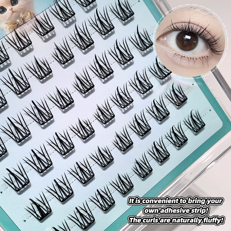 Set of false eyelashes with a close-up of an eye wearing them, on a white background.