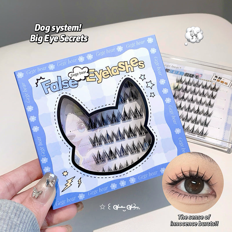 False eyelashes packaging with a hand holding it and an inset showing the effect on eyes.