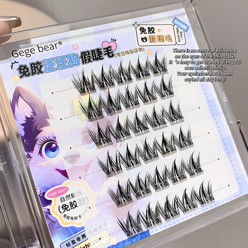 Set of false eyelashes in a display case with Gege bear branding.
