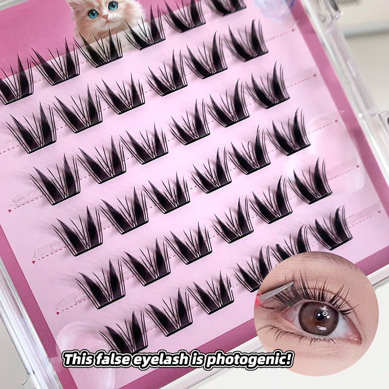 False eyelashes in a pink case with an inset of an eye wearing them.